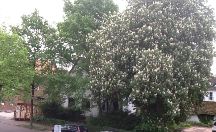 Times are changin……..